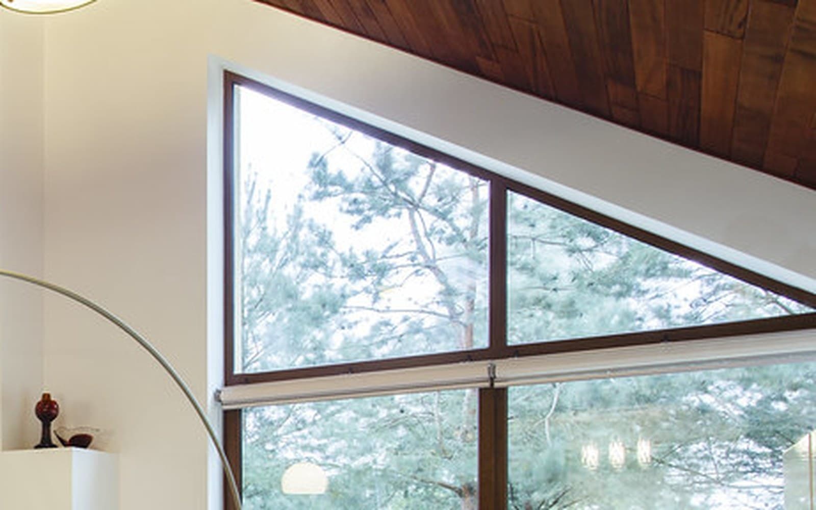 Vue rapprochée de grandes vitres impeccables, lumière du jour et arbres au-delà