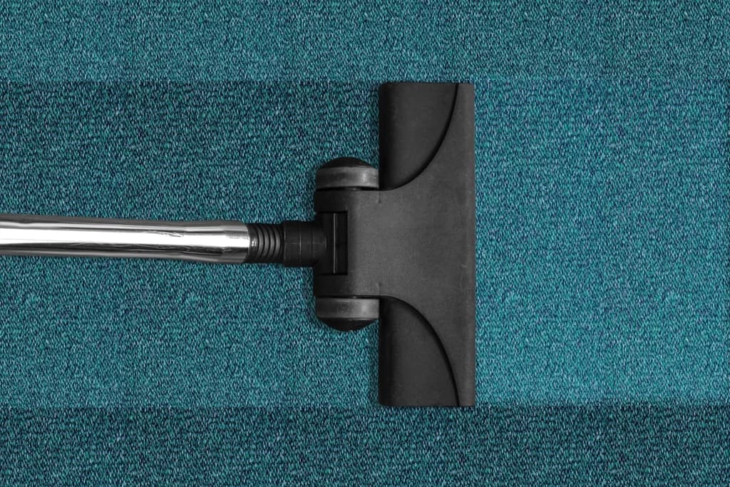 Vacuum cleaner head running across a clean carpet